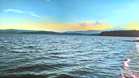 Fotografie Černá v Pošumaví