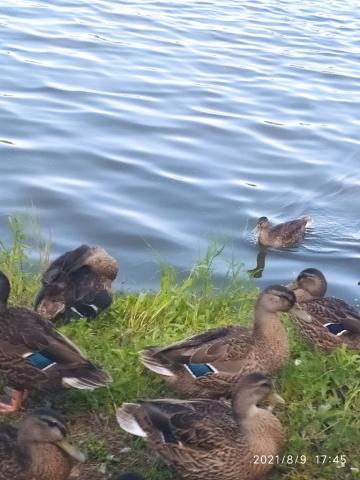 Fotografie Kamenný Újezd