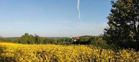 Fotografie Bělčice