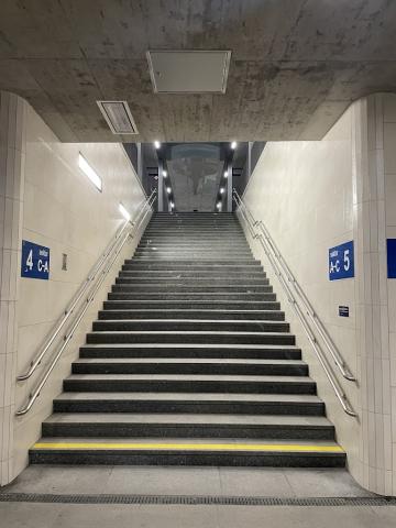 Fotografie Vršovice