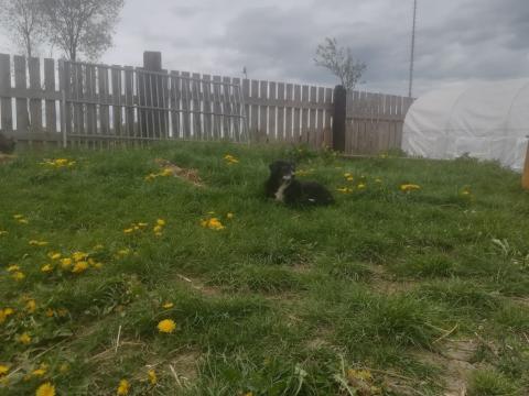 Fotografie Balkova Lhota