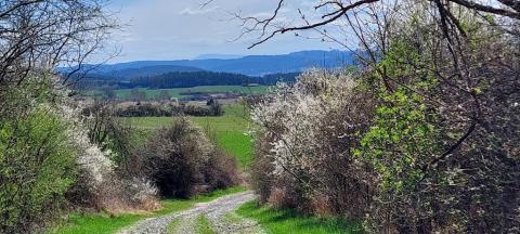 Fotografie Střelské Hoštice