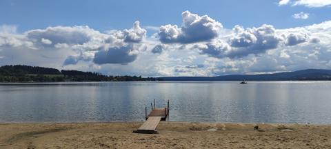 Fotografie Černá v Pošumaví