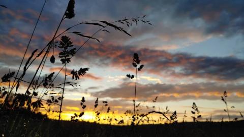 Fotografie Čížová