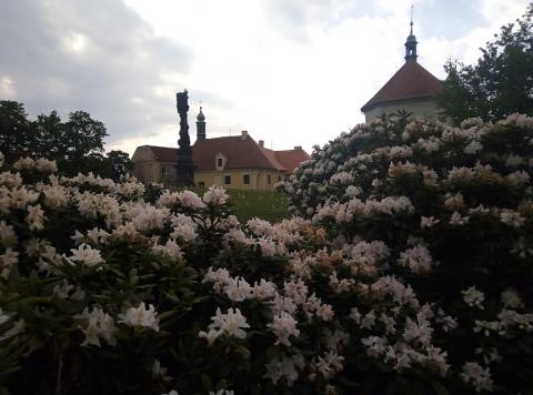 Fotografie Litvínov-město