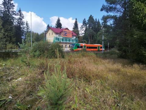 Fotografie Černý Kříž