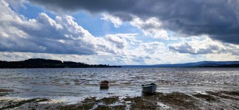 Fotografie Černá v Pošumaví