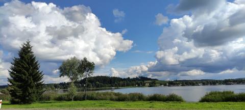 Fotografie Černá v Pošumaví