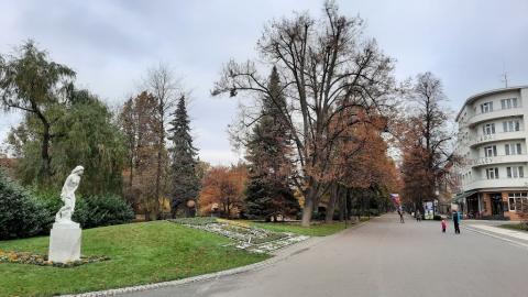 Fotografie Poděbrady