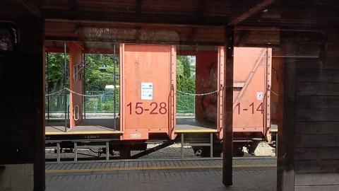 Fotografie Horní Planá